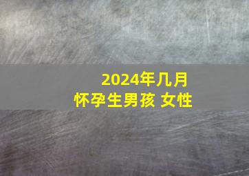 2024年几月怀孕生男孩 女性